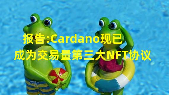 报告:Cardano现已成为交易量第三大NFT协议