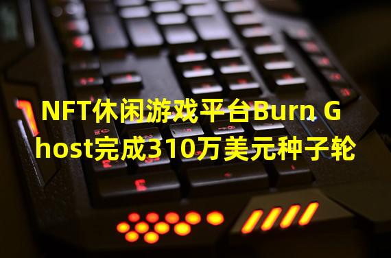 NFT休闲游戏平台Burn Ghost完成310万美元种子轮融资