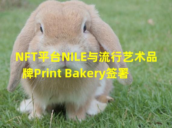 NFT平台NILE与流行艺术品牌Print Bakery签署谅解备忘录