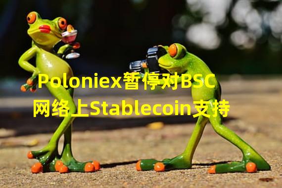 Poloniex暂停对BSC网络上Stablecoin支持