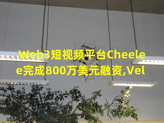 Web3短视频平台Cheelee完成800万美元融资,Veligera Capital参投