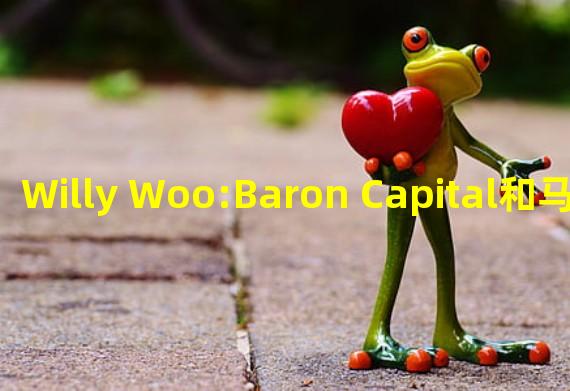 Willy Woo:Baron Capital和马斯克接触或将PayPal支付纳入推特