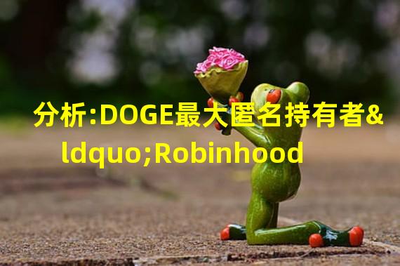 分析:DOGE最大匿名持有者“Robinhood”或是马斯克