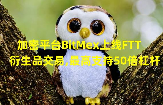 加密平台BitMex上线FTT衍生品交易,最高支持50倍杠杆