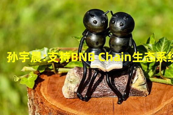 孙宇晨:支持BNB Chain生态系统和BUSD