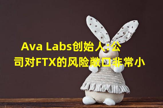 Ava Labs创始人:公司对FTX的风险敞口非常小