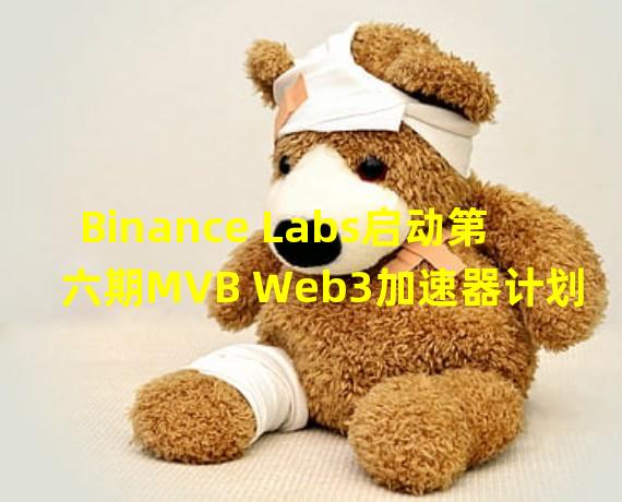 Binance Labs启动第六期MVB Web3加速器计划