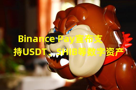Binance Pay宣布支持USDT、SHIB等数字资产