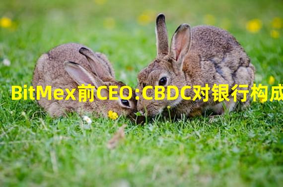 BitMex前CEO:CBDC对银行构成生存威胁