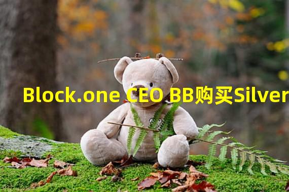 Block.one CEO BB购买Silvergate 9.3%的股份