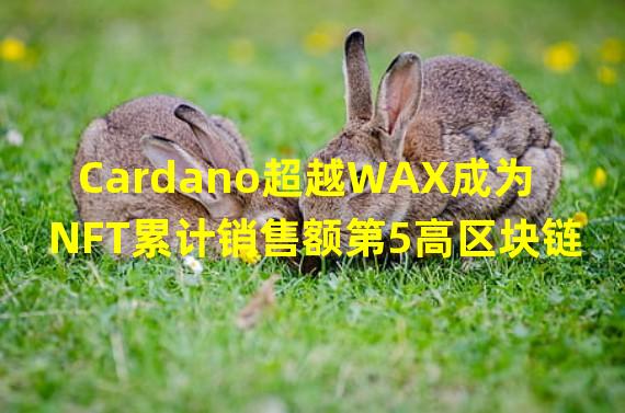 Cardano超越WAX成为NFT累计销售额第5高区块链