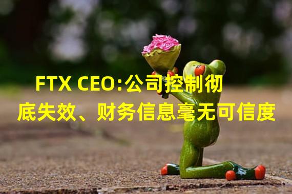 FTX CEO:公司控制彻底失效、财务信息毫无可信度