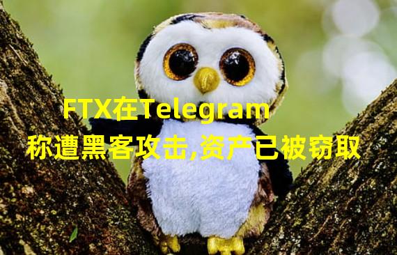 FTX在Telegram称遭黑客攻击,资产已被窃取