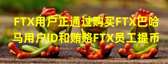 FTX用户正通过购买FTX巴哈马用户ID和贿赂FTX员工提币