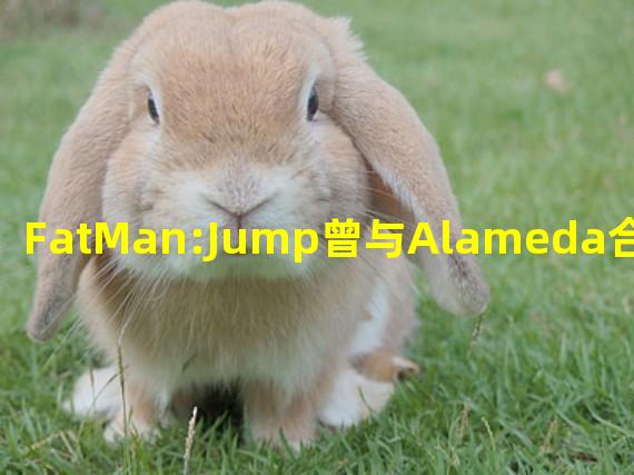 FatMan:Jump曾与Alameda合作推高Serum的完全稀释估值
