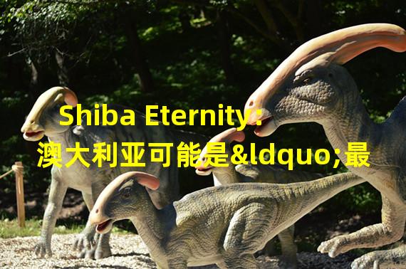 Shiba Eternity：澳大利亚可能是“最后的测试地点”