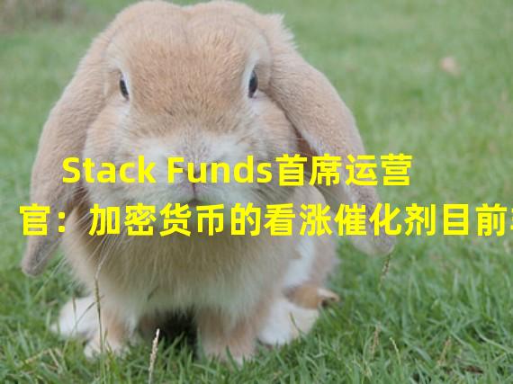 Stack Funds首席运营官：加密货币的看涨催化剂目前非常有限