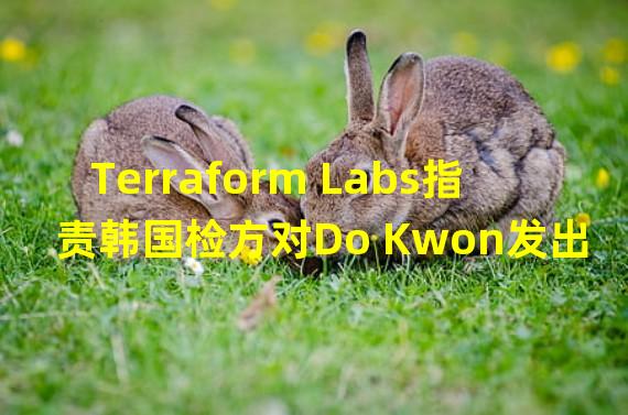 Terraform Labs指责韩国检方对Do Kwon发出逮捕令属于越权执法
