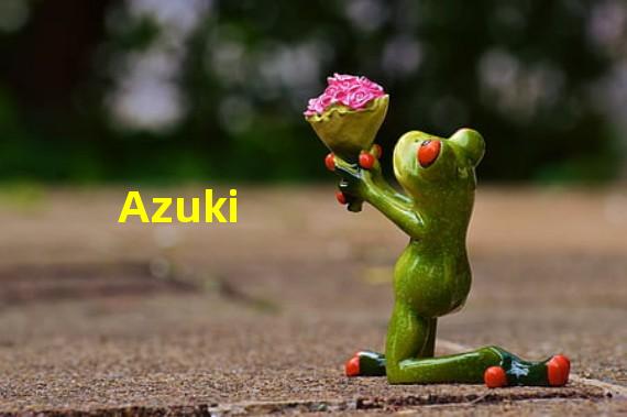 Azuki #2311以175 ETH成交,创该系列迄今币本位第6高记录