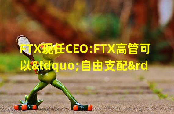 FTX现任CEO:FTX高管可以“自由支配”交易所
