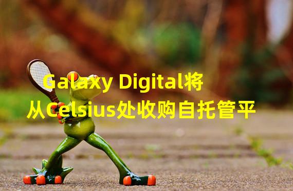 Galaxy Digital将从Celsius处收购自托管平台GK8