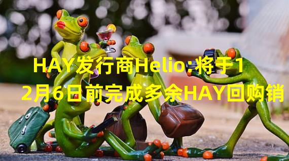 HAY发行商Helio:将于12月6日前完成多余HAY回购销毁