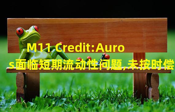 M11 Credit:Auros面临短期流动性问题,未按时偿还300万美元的DeFi贷款