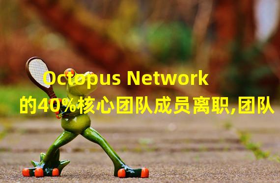 Octopus Network的40%核心团队成员离职,团队代币激励无限期暂停