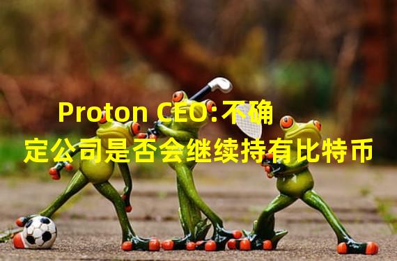 Proton CEO:不确定公司是否会继续持有比特币