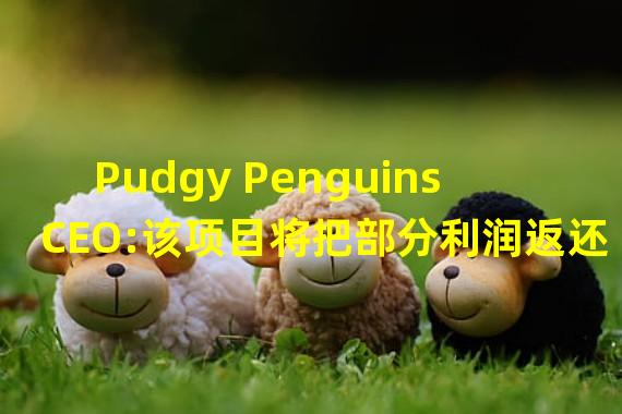 Pudgy Penguins CEO:该项目将把部分利润返还给代币持有者