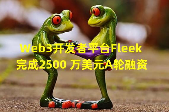 Web3开发者平台Fleek完成2500 万美元A轮融资