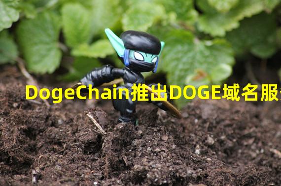 DogeChain推出DOGE域名服务