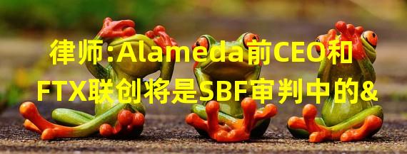 律师:Alameda前CEO和FTX联创将是SBF审判中的“游戏改变者”