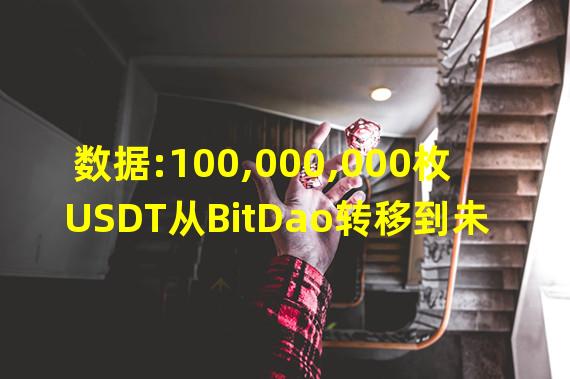 数据:100,000,000枚USDT从BitDao转移到未知钱包