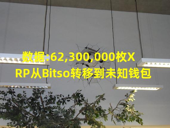 数据:62,300,000枚XRP从Bitso转移到未知钱包