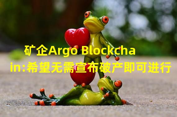 矿企Argo Blockchain:希望无需宣布破产即可进行重组
