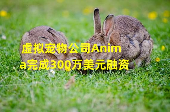 虚拟宠物公司Anima完成300万美元融资