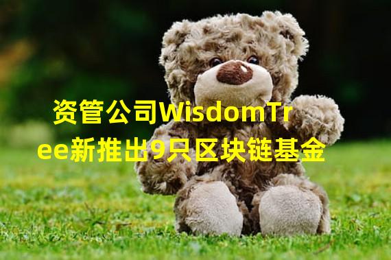 资管公司WisdomTree新推出9只区块链基金