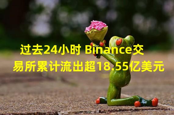 过去24小时 Binance交易所累计流出超18.55亿美元,其中USDT占比超34%