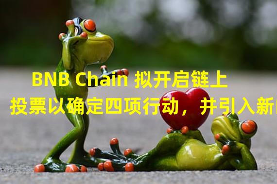 BNB Chain 拟开启链上投票以确定四项行动，并引入新的链上治理机制