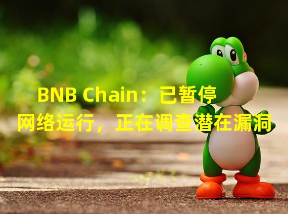 BNB Chain：已暂停网络运行，正在调查潜在漏洞