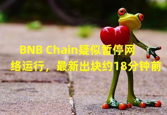 BNB Chain疑似暂停网络运行，最新出块约18分钟前