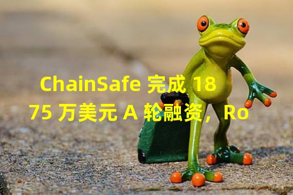 ChainSafe 完成 1875 万美元 A 轮融资，Round13 领投
