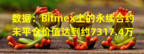 数据：Bitmex上的永续合约未平仓价值达到约7317.4万美元，创一个月新高