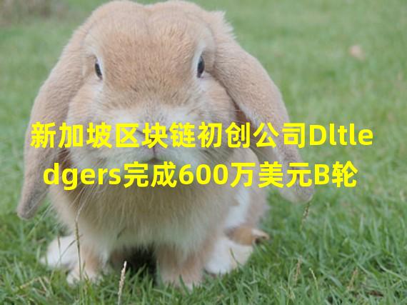 新加坡区块链初创公司Dltledgers完成600万美元B轮融资