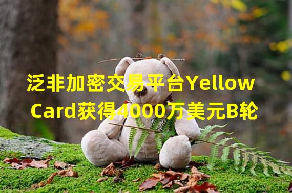 泛非加密交易平台Yellow Card获得4000万美元B轮融资
