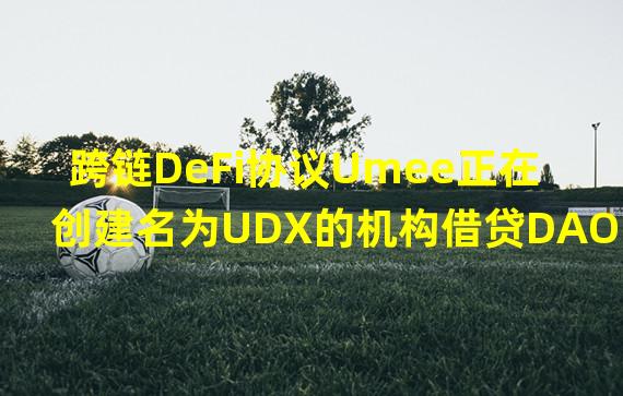 跨链DeFi协议Umee正在创建名为UDX的机构借贷DAO