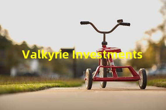 Valkyrie Investments
