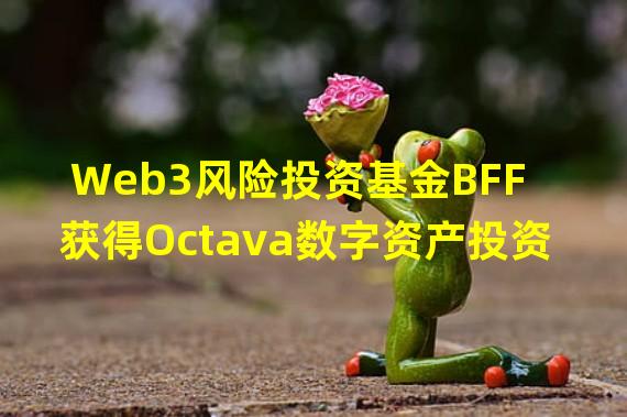 Web3风险投资基金BFF获得Octava数字资产投资