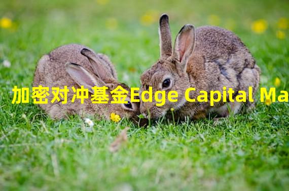 加密对冲基金Edge Capital Management为DeFi基金筹集6678万美元